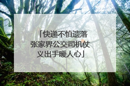 快递不慎遗落 张家界公交司机仗义出手暖人心