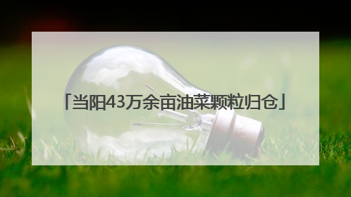 当阳43万余亩油菜颗粒归仓