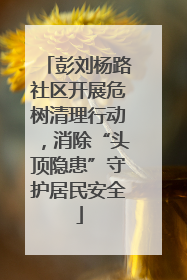 彭刘杨路社区开展危树清理行动，消除“头顶隐患”守护居民安全