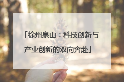 徐州泉山：科技创新与产业创新的双向奔赴
