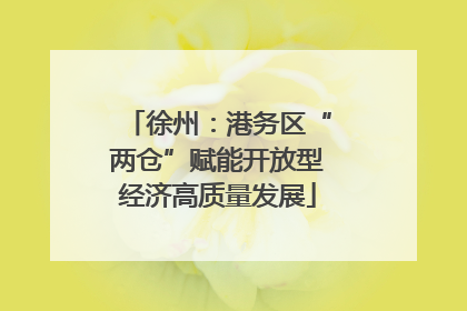 徐州：港务区“两仓”赋能开放型经济高质量发展