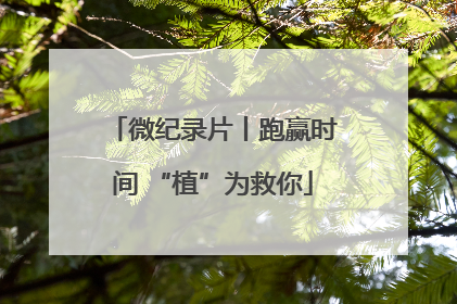 微纪录片丨跑赢时间 “植”为救你