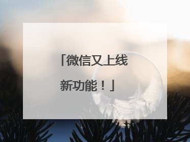 微信又上线新功能！