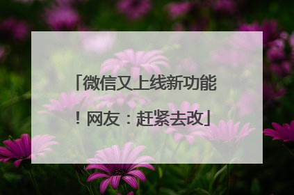 微信又上线新功能！网友：赶紧去改