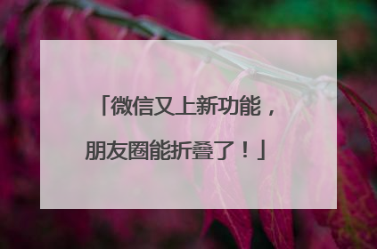 微信又上新功能，朋友圈能折叠了！