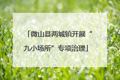 微山县两城镇开展“九小场所”专项治理