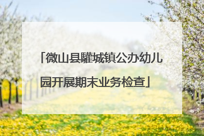 微山县驩城镇公办幼儿园开展期末业务检查