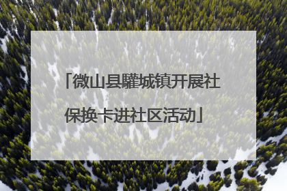 微山县驩城镇开展社保换卡进社区活动