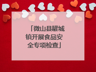 微山县驩城镇开展食品安全专项检查