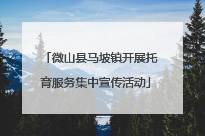 微山县马坡镇开展托育服务集中宣传活动