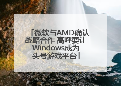 微软与AMD确认战略合作 高呼要让Windows成为头号游戏平台