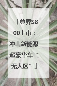 尊界S800上市：冲击新能源超豪华车“无人区”