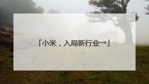 小米，入局新行业→