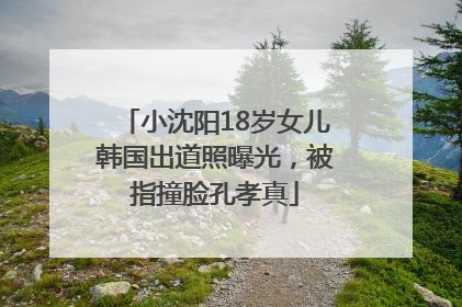 小沈阳18岁女儿韩国出道照曝光，被指撞脸孔孝真