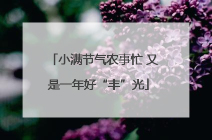 小满节气农事忙 又是一年好“丰”光