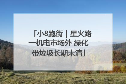 小8跑街｜星火路一机电市场外 绿化带垃圾长期未清