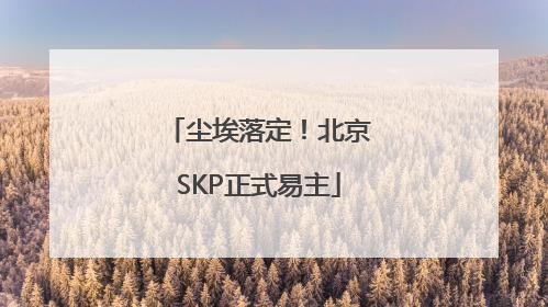 尘埃落定！北京SKP正式易主