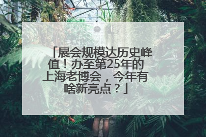 展会规模达历史峰值！办至第25年的上海老博会，今年有啥新亮点？