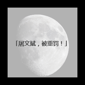 屠文斌，被重罚！