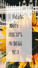 山东烟台：出口汽车装运忙