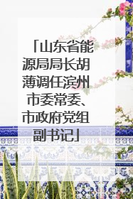 山东省能源局局长胡薄调任滨州市委常委、市政府党组副书记