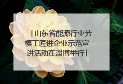 山东省能源行业劳模工匠进企业示范宣讲活动在淄博举行