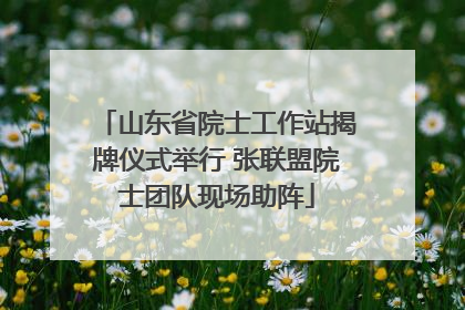 山东省院士工作站揭牌仪式举行 张联盟院士团队现场助阵