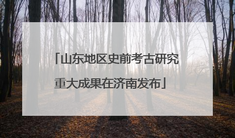 山东地区史前考古研究重大成果在济南发布