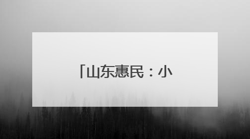 山东惠民：小绳网“织”出乡村振兴新图景