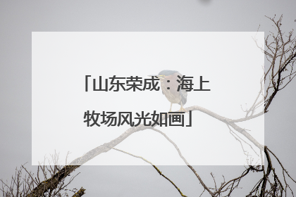 山东荣成：海上牧场风光如画
