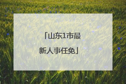 山东1市最新人事任免