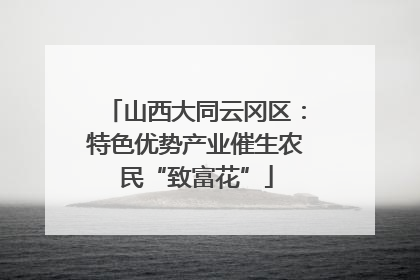 山西大同云冈区：特色优势产业催生农民“致富花”