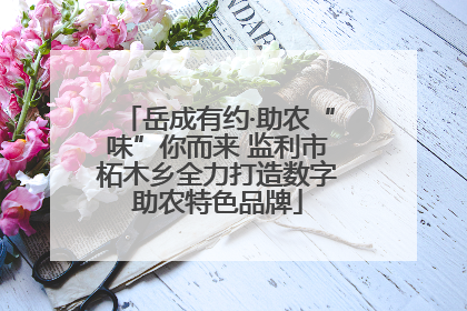 岳成有约·助农“味”你而来 监利市柘木乡全力打造数字助农特色品牌