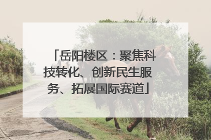 岳阳楼区：聚焦科技转化、创新民生服务、拓展国际赛道