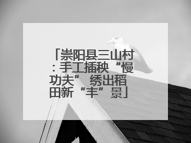 崇阳县三山村：手工插秧“慢功夫” 绣出稻田新“丰”景