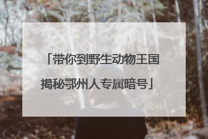带你到野生动物王国揭秘鄂州人专属暗号