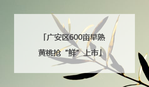 广安区600亩早熟黄桃抢“鲜”上市