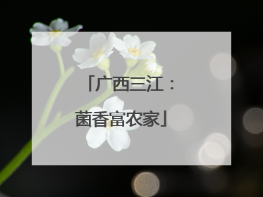 广西三江：菌香富农家