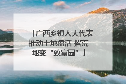 广西乡镇人大代表推动土地盘活 撂荒地变“致富园”