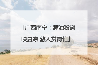 广西南宁：满池粉黛映夏凉 游人赏荷忙