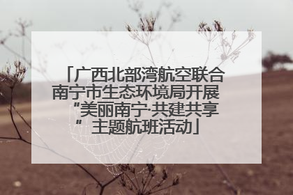 广西北部湾航空联合南宁市生态环境局开展“美丽南宁·共建共享”主题航班活动