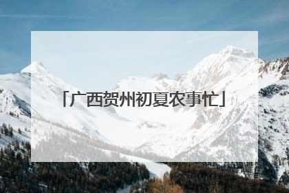广西贺州初夏农事忙