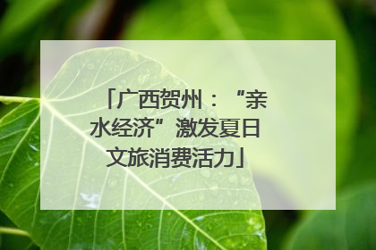 广西贺州：“亲水经济”激发夏日文旅消费活力