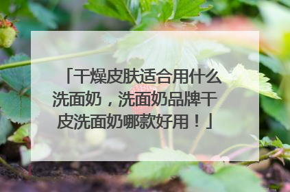 干燥皮肤适合用什么洗面奶，洗面奶品牌干皮洗面奶哪款好用！