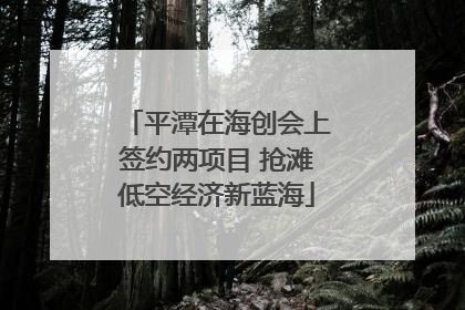 平潭在海创会上签约两项目 抢滩低空经济新蓝海