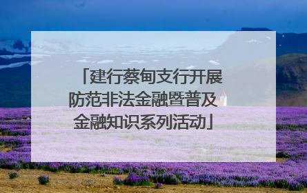 建行蔡甸支行开展防范非法金融暨普及金融知识系列活动