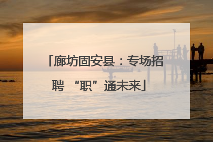 廊坊固安县：专场招聘 “职”通未来