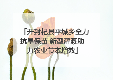开封杞县平城乡全力抗旱保苗 新型灌溉助力农业节本增效