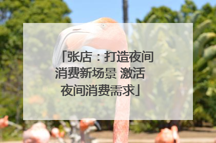 张店：打造夜间消费新场景 激活夜间消费需求