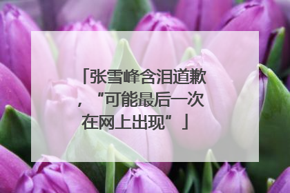 张雪峰含泪道歉，“可能最后一次在网上出现”